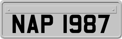 NAP1987