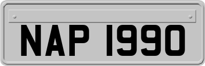 NAP1990