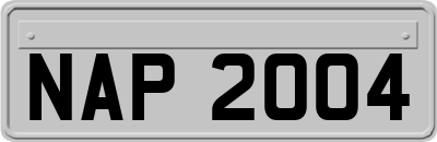 NAP2004