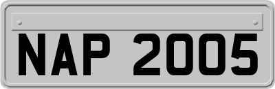 NAP2005