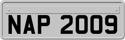 NAP2009