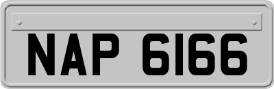 NAP6166