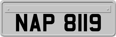 NAP8119