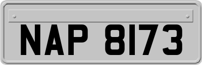 NAP8173