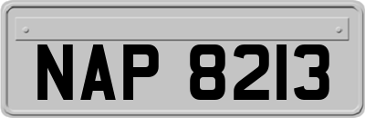 NAP8213