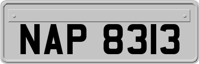 NAP8313