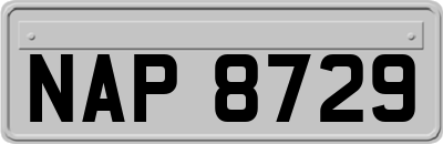 NAP8729