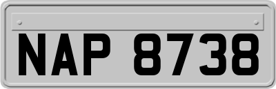 NAP8738