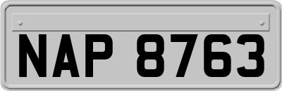 NAP8763