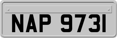 NAP9731