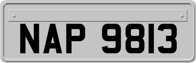 NAP9813