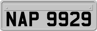 NAP9929