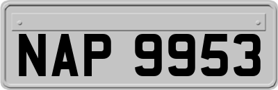 NAP9953