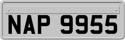 NAP9955