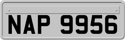 NAP9956