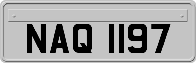 NAQ1197