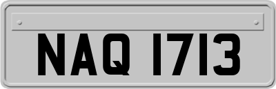 NAQ1713