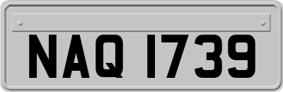 NAQ1739