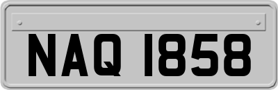 NAQ1858