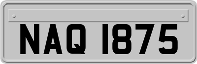 NAQ1875