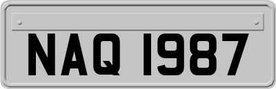 NAQ1987