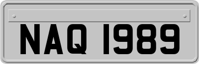 NAQ1989