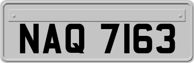 NAQ7163