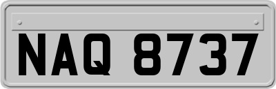 NAQ8737