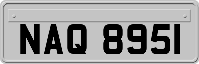 NAQ8951