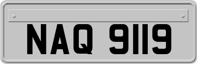 NAQ9119