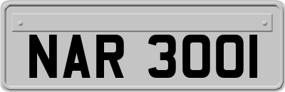 NAR3001