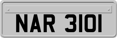 NAR3101