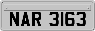 NAR3163