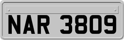 NAR3809