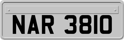 NAR3810