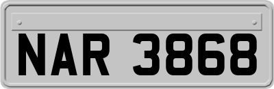 NAR3868