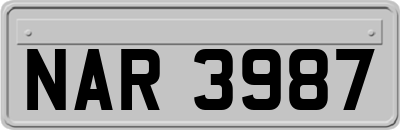 NAR3987