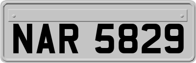 NAR5829