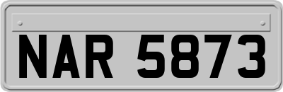 NAR5873