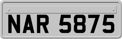 NAR5875