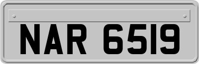 NAR6519