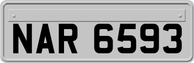 NAR6593