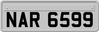 NAR6599