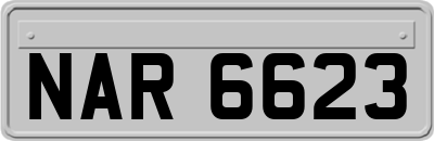 NAR6623