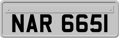 NAR6651