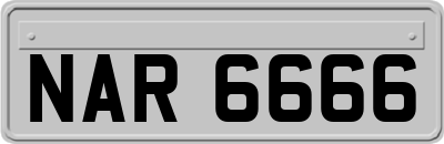 NAR6666