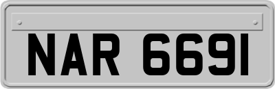 NAR6691