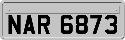 NAR6873