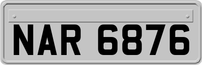 NAR6876