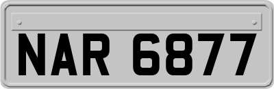 NAR6877